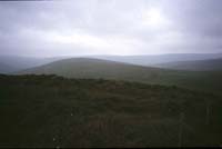 Sperri~1